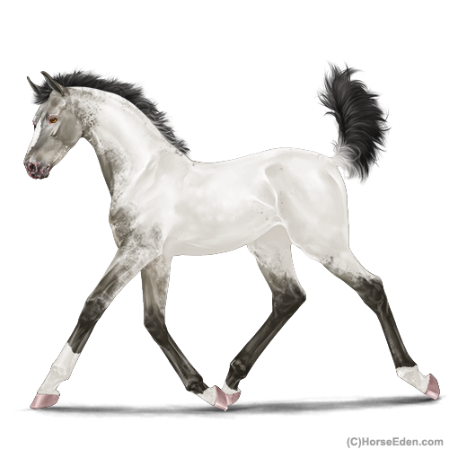 genpic.php?id=42802332&bg=1000&decor=Y&v=5