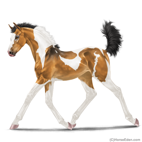 genpic.php?id=42320213&bg=1001&decor=Y&v=24