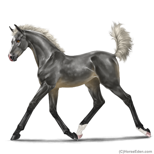 genpic.php?id=42865335&bg=1001&decor=Y&v=2