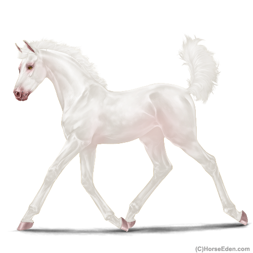 genpic.php?id=43294405&bg=1001&decor=Y&v=1