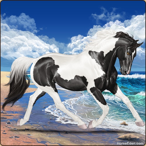 genpic.php?id=37942180&bg=116&decor=Y&v=1