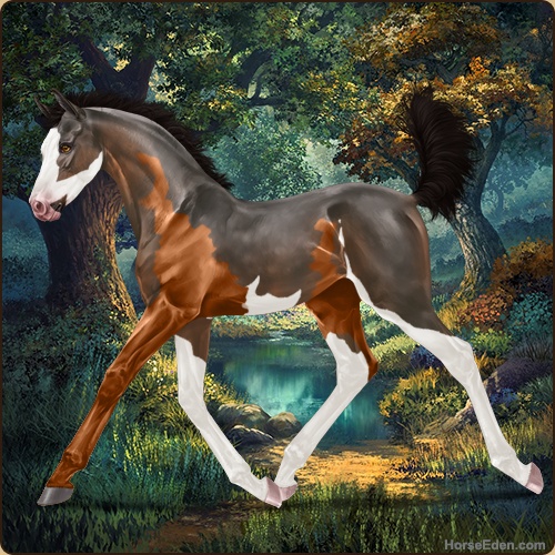 genpic.php?id=42150661&bg=122&decor=Y&v=1