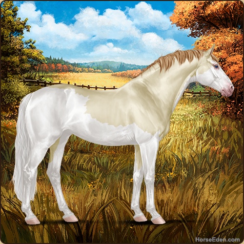 genpic.php?id=40384608&bg=127&decor=Y&v=1