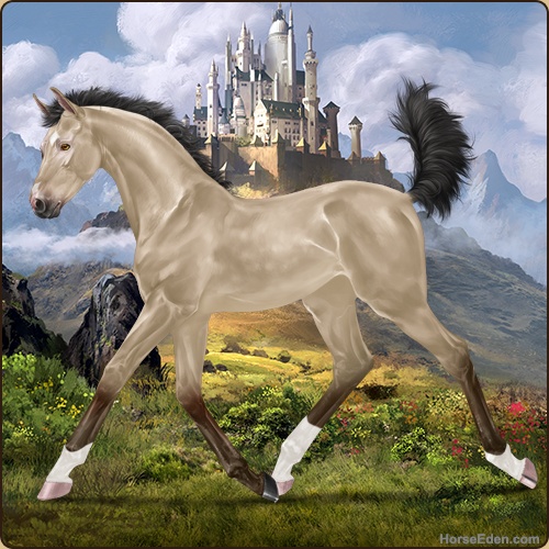 genpic.php?id=43016531&bg=127&decor=Y&v=2