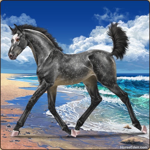 genpic.php?id=41946692&bg=128&decor=Y&v=1