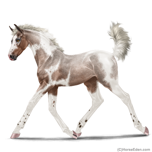 genpic.php?id=42289276&bg=4&v=12