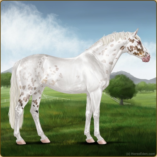 genpic.php?id=39538966&bg=56&decor=Y&v=16