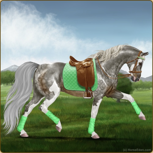 genpic.php?id=40736073&bg=56&decor=Y&v=24