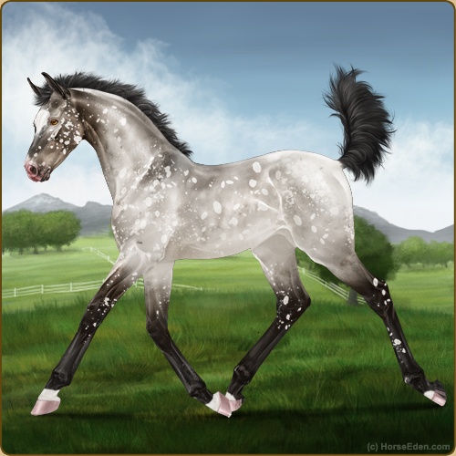 genpic.php?id=41184891&bg=56&decor=Y&v=8
