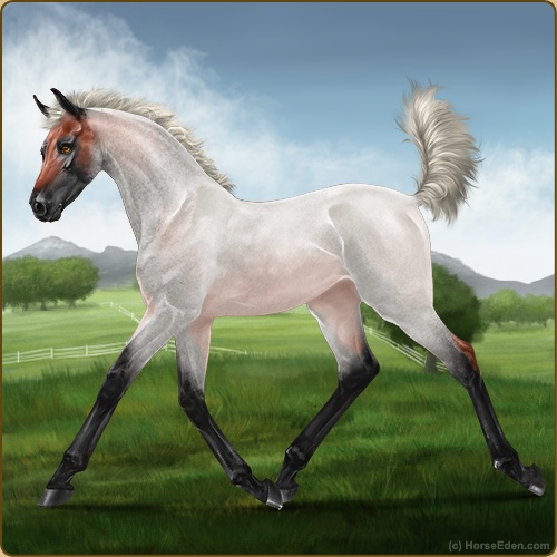 genpic.php?id=41788570&bg=56&decor=Y&v=1
