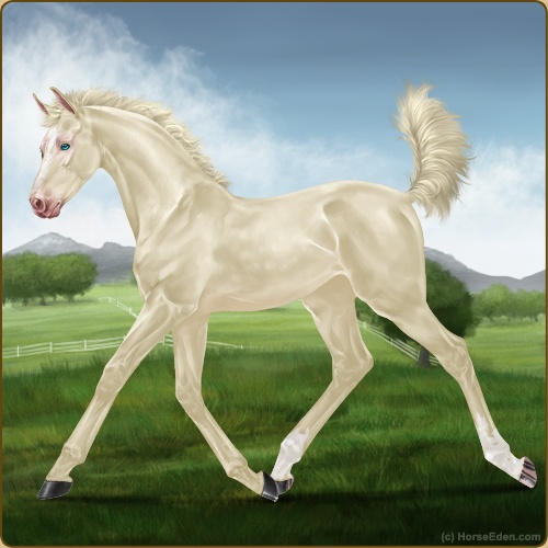 genpic.php?id=41840886&bg=56&decor=Y&v=1