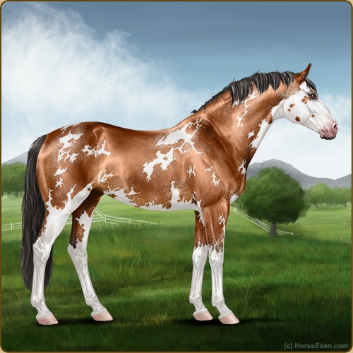 genpic.php?id=42245323&bg=56&decor=Y&v=4