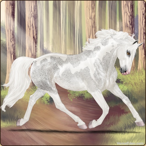 genpic.php?id=42338962&bg=56&decor=Y&v=6