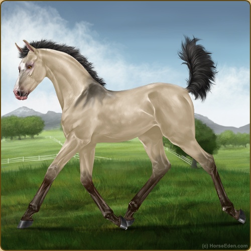 genpic.php?id=42720430&bg=56&decor=Y&v=1