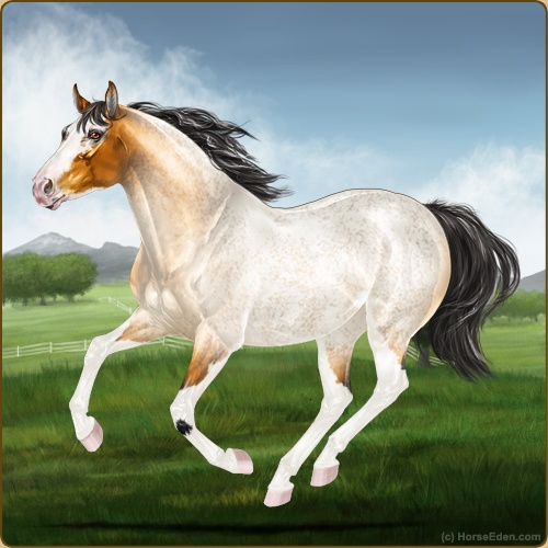 genpic.php?v=1767813686&bg=56&id=42858961&e=BWXj9Bwo5f1DzDLImJRiKZFWUiXTsQNEdZk5d2ZVSd8=