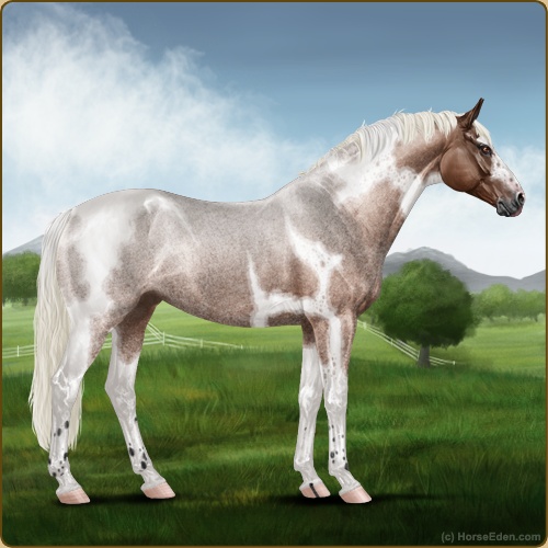 genpic.php?v=12&bg=56&id=42289276&e=Jm0ETp+ZqoCDLvo7riumMCZnY3tgS+tM6Q9d6s6NOzE=