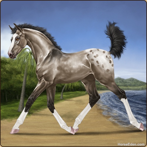 genpic.php?id=41255326&bg=58&decor=Y&v=2