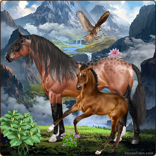genpic.php?id=37699161&bg=61&decor=Y&v=1