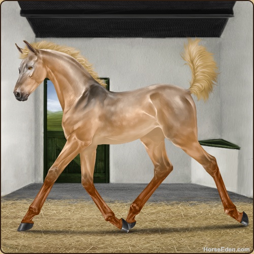 genpic.php?id=44243868&bg=61&decor=Y&v=1