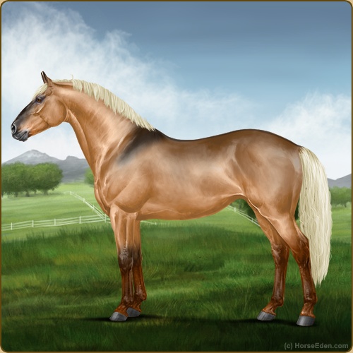 genpic.php?id=41619316&bg=77&decor=Y&v=14