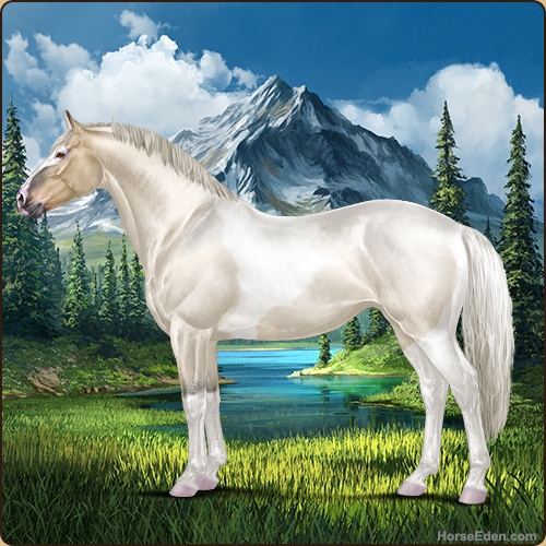 genpic.php?id=41167420&bg=78&decor=Y&v=3
