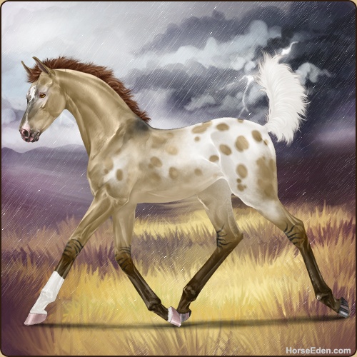 genpic.php?id=41440736&bg=79&decor=Y&v=1