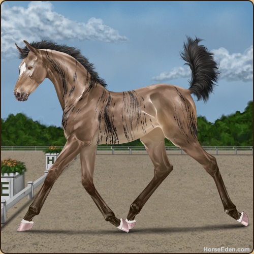 genpic.php?id=41965922&bg=79&decor=Y&v=9