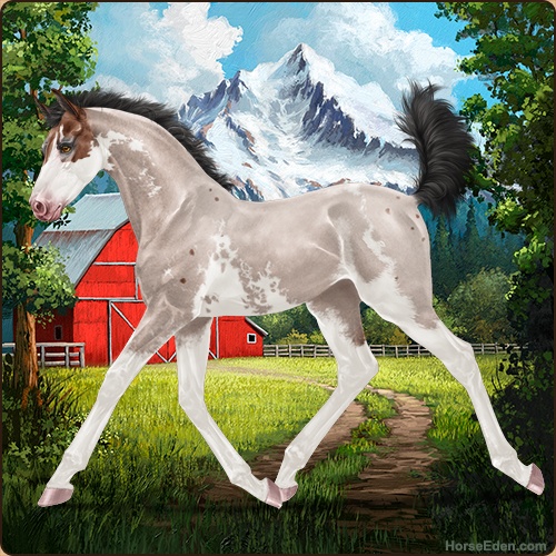 genpic.php?id=42802568&bg=79&decor=Y&v=1