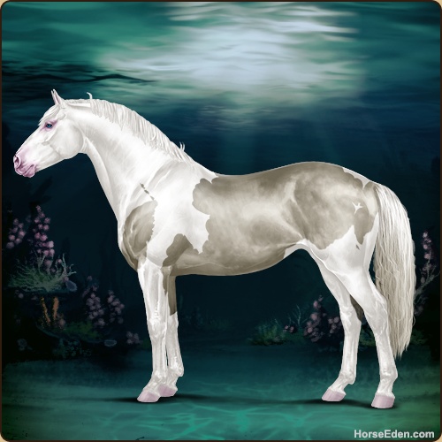 genpic.php?id=43443895&bg=79&decor=Y&v=18