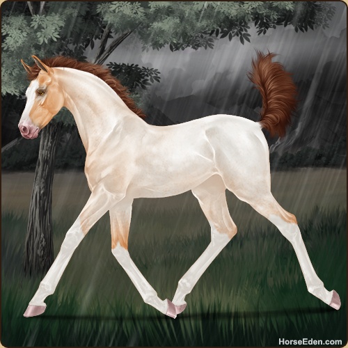 genpic.php?id=41164038&bg=95&decor=Y&v=1751919857