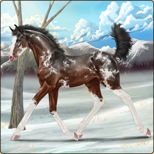 genpic.php?id=42048202&bg=95&decor=Y&v=1760355674