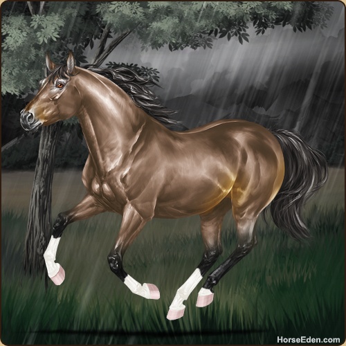 genpic.php?id=42949815&bg=95&decor=Y&v=1765437263