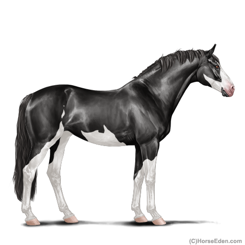 genpic.php?id=16551325&bg=4&decor=Y&v=7