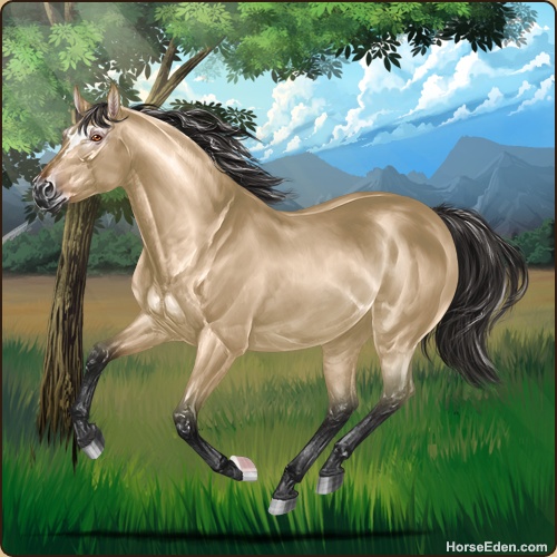 genpic.php?id=17354763&bg=95&decor=Y&tm=1596164301