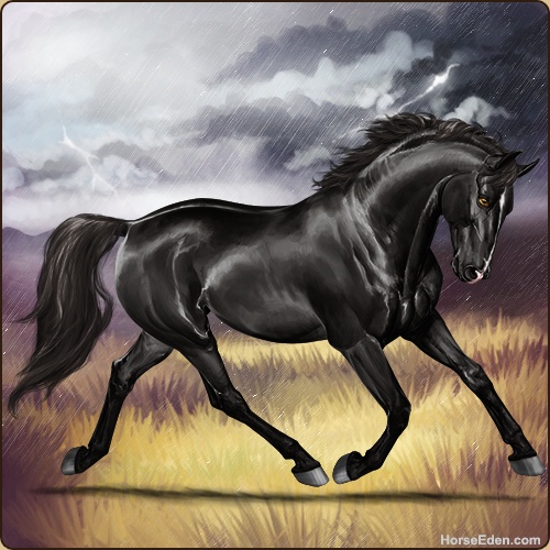 genpic.php?id=17609594&bg=6&decor=Y&tm=1596159317