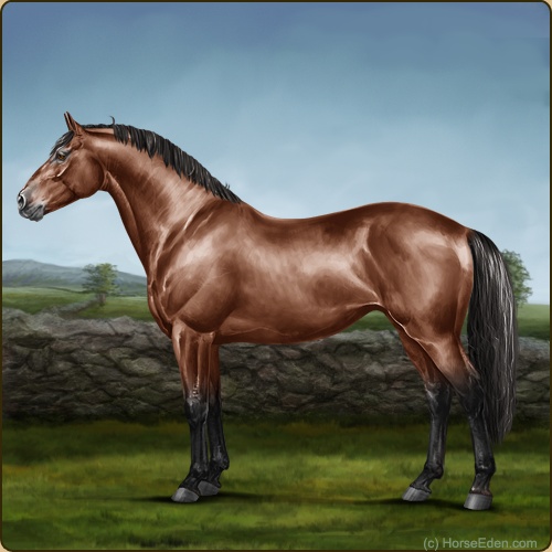 genpic.php?id=17617590&bg=60&decor=Y&tm=1596160614