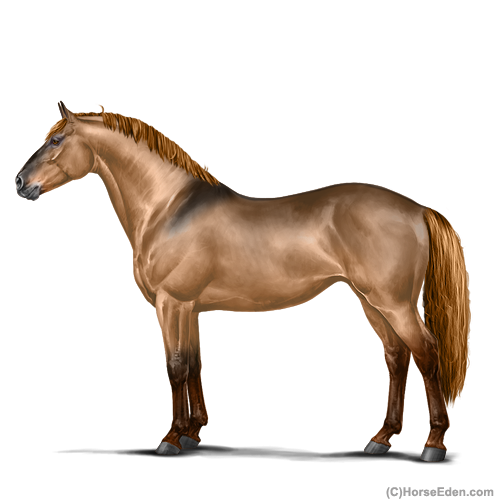 genpic.php?id=18108832&bg=6&decor=Y&tm=1596223943