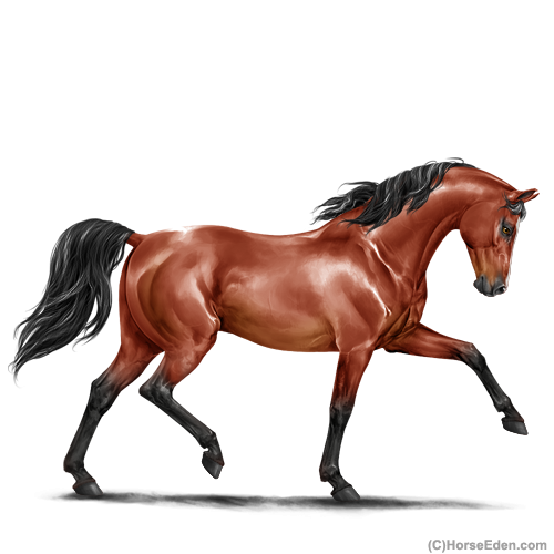 genpic.php?id=18310833&bg=6&decor=Y&tm=1596160859