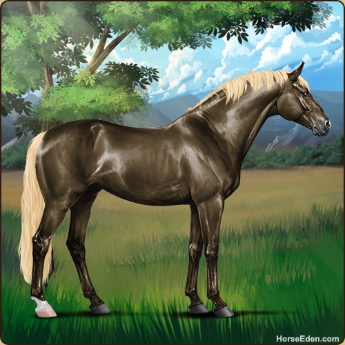 genpic.php?id=18728599&bg=95&decor=Y&tm=1596162660