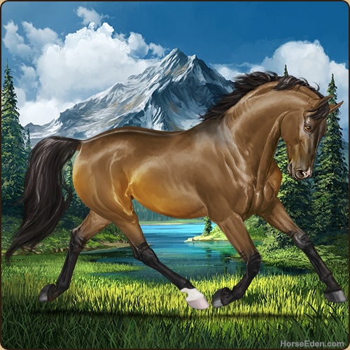 genpic.php?id=18957012&bg=79&decor=Y&tm=1596224327