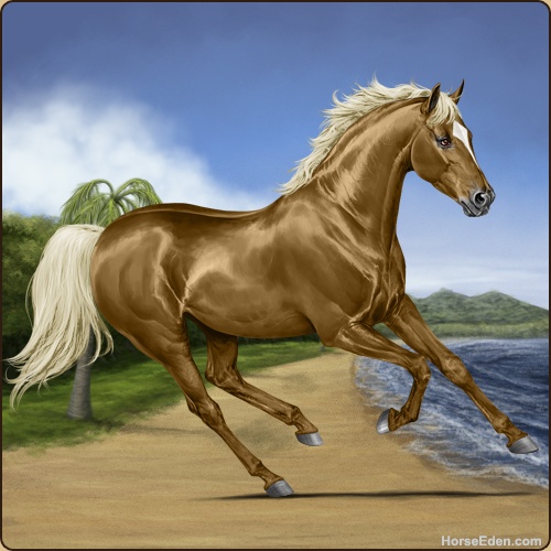 genpic.php?id=19002667&bg=58&decor=Y&tm=1596162645