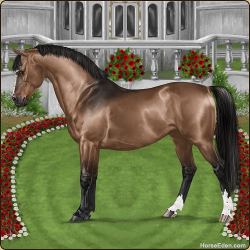 genpic.php?id=20203317&bg=79&decor=Y&tm=1596223153