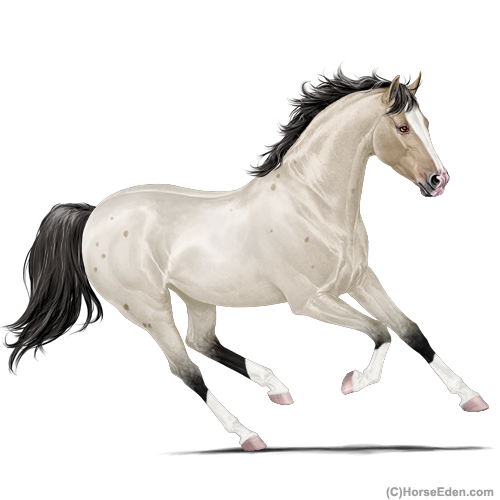 genpic.php?id=20796916&bg=4&decor=Y&v=1