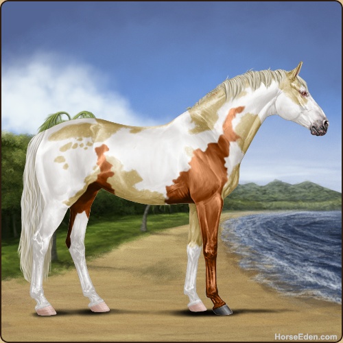 genpic.php?id=21579344&bg=102&decor=Y&tm=1584556769