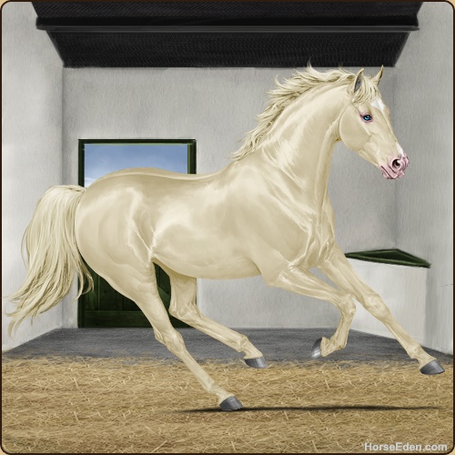 genpic.php?id=21835129&bg=4&decor=Y&tm=1646596170