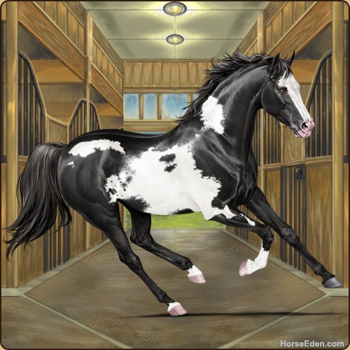 genpic.php?id=21853300&bg=79&decor=Y&tm=1588006067