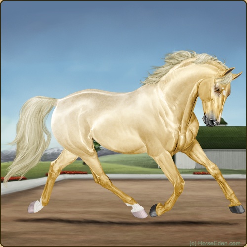 genpic.php?id=25276565&bg=4&decor=Y&v=9