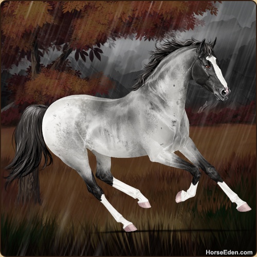 genpic.php?id=27085665&bg=61&decor=Y&tm=1646596883