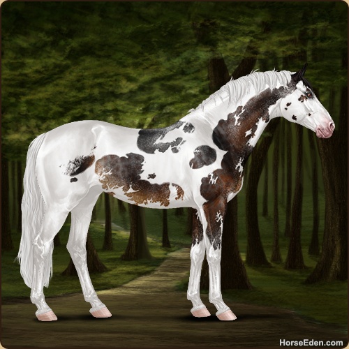 genpic.php?id=28931642&bg=4&decor=Y&v=1