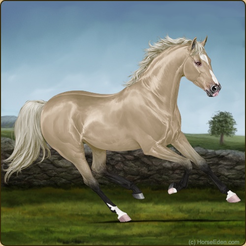 genpic.php?id=29068127&bg=61&decor=Y&tm=1646597203